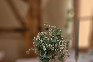 Le Verger des Saules - 5