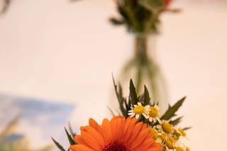 Lily and Confettis - 8