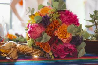 Coton et Coquelicot - 11