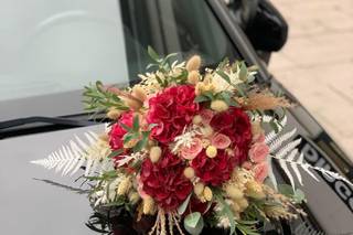 Aloé Fleurs - 5