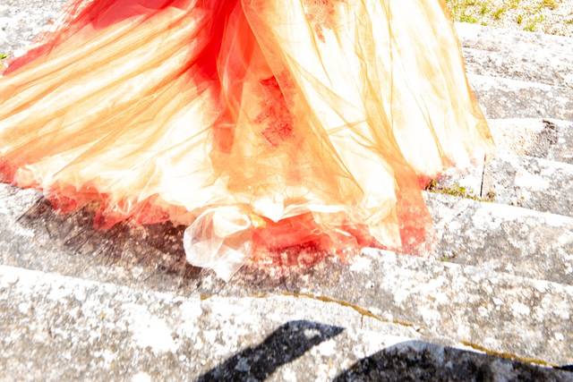 Photofeeries 1