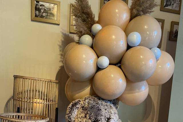 Coton Champagne 4
