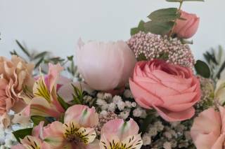 Jardin d'Oléacées - 6