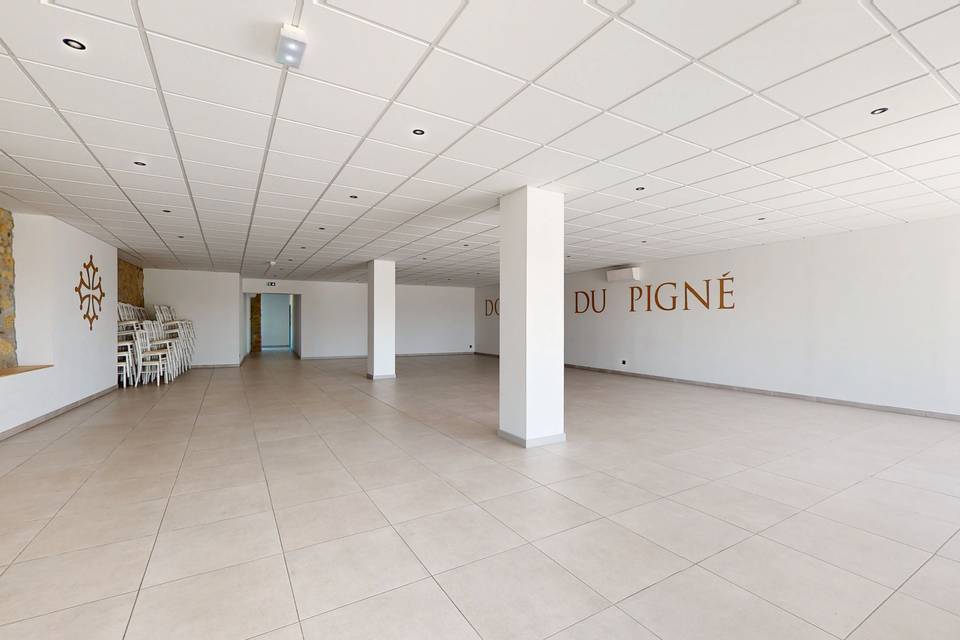 Domaine du Pigné 3d tour