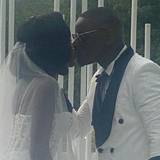 Sengele