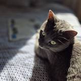 Victoria