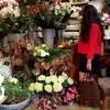 Coralie