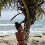 Karine