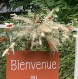 Corbeau