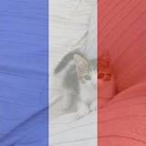Guillaume