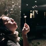 Marion