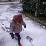 Lia