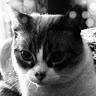 Amandine