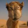 Enes