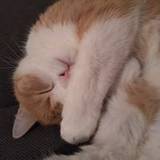 Julie