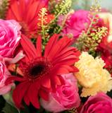 Paul