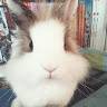 Magalie