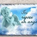 Elodie