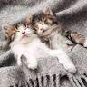 Charlotte et Erwan