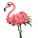 Flamant