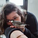 Romane