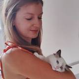 Anais