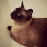 Coralie