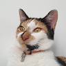Morgane