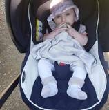 Adeline