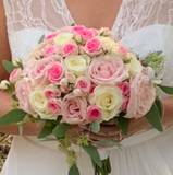 Caroline