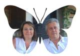 Fibile