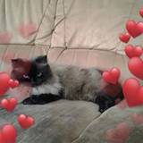 Nathalie