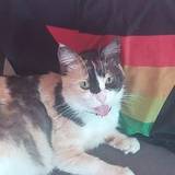 Lucie