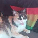 Lucie
