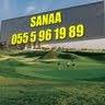 Sanaa