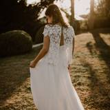 Aurelia