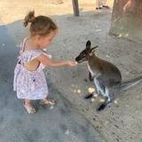 Laurane
