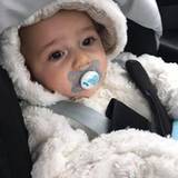 Aline