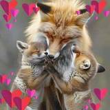 Carine