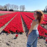 Amandine