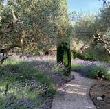 Albertine