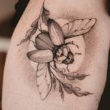 Chrystelle