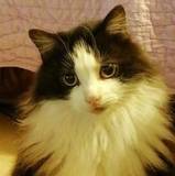Fabienne