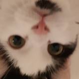 Mickael