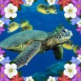 Nathalie