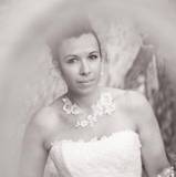 Delphine