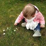 Aurelie