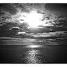 Ludovia