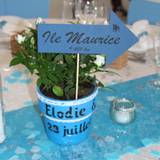 Elodie
