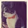 Emilie